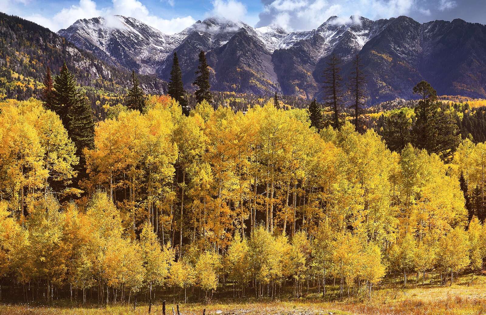 High country in Southwest Colorado offers peak fall colors heading into