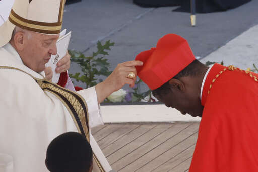 Pope Francis creates 21 new cardinals who will help him to reform the  church and cement his legacy