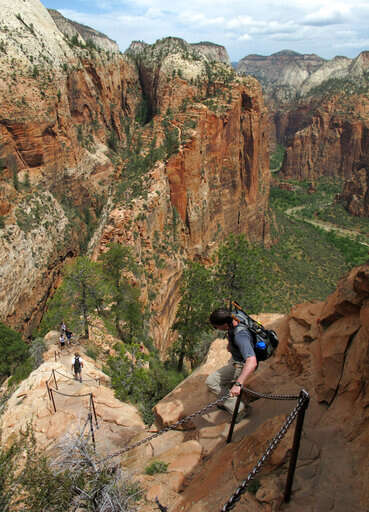 are dogs allowed in angels park zion national park