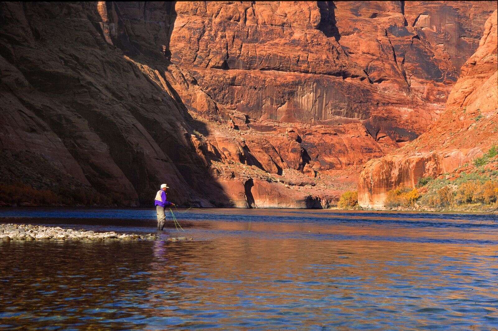 On the Colorado River, growing concern for fish as waters warm – The  Durango Herald