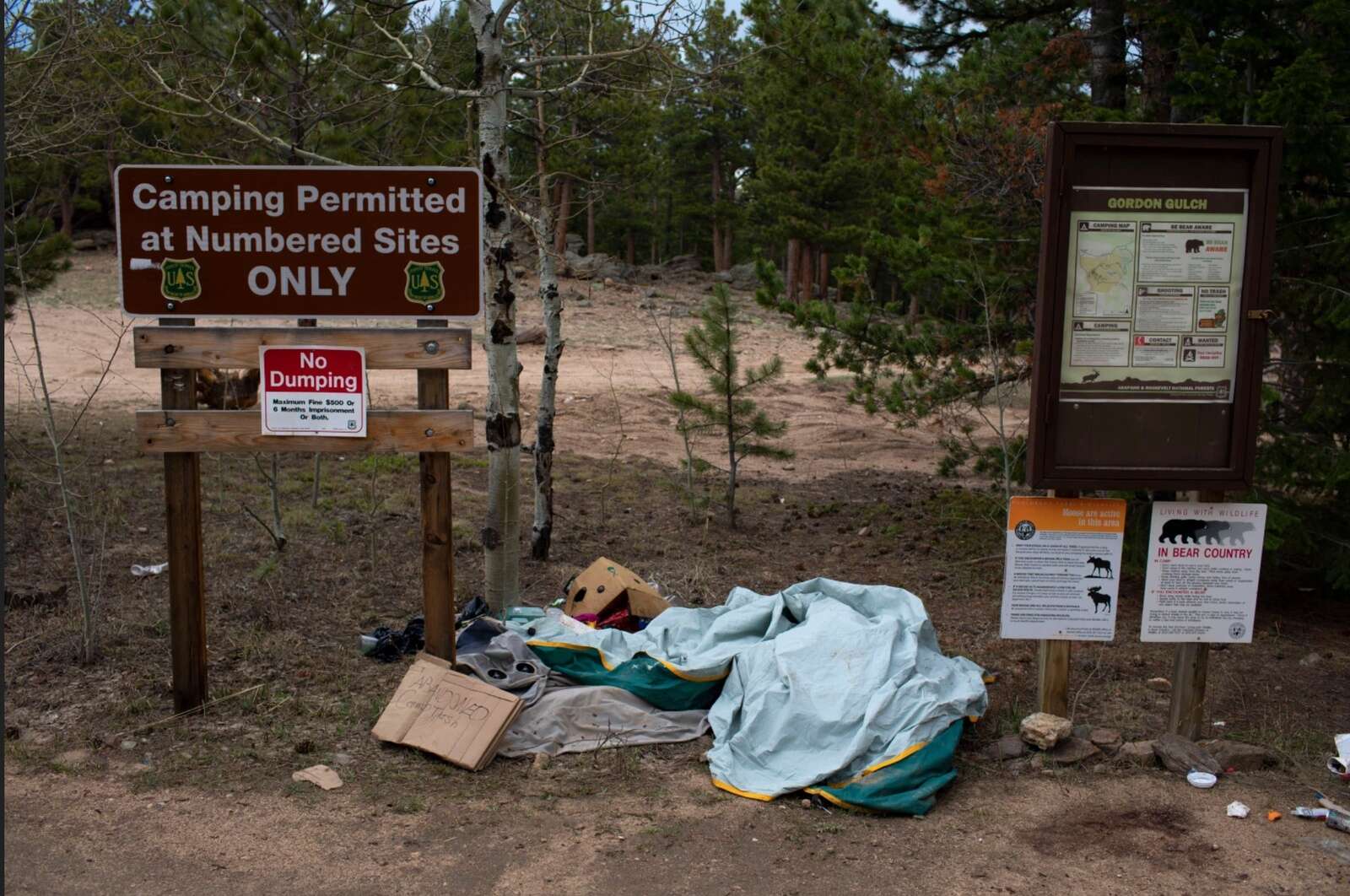 Open land may become park