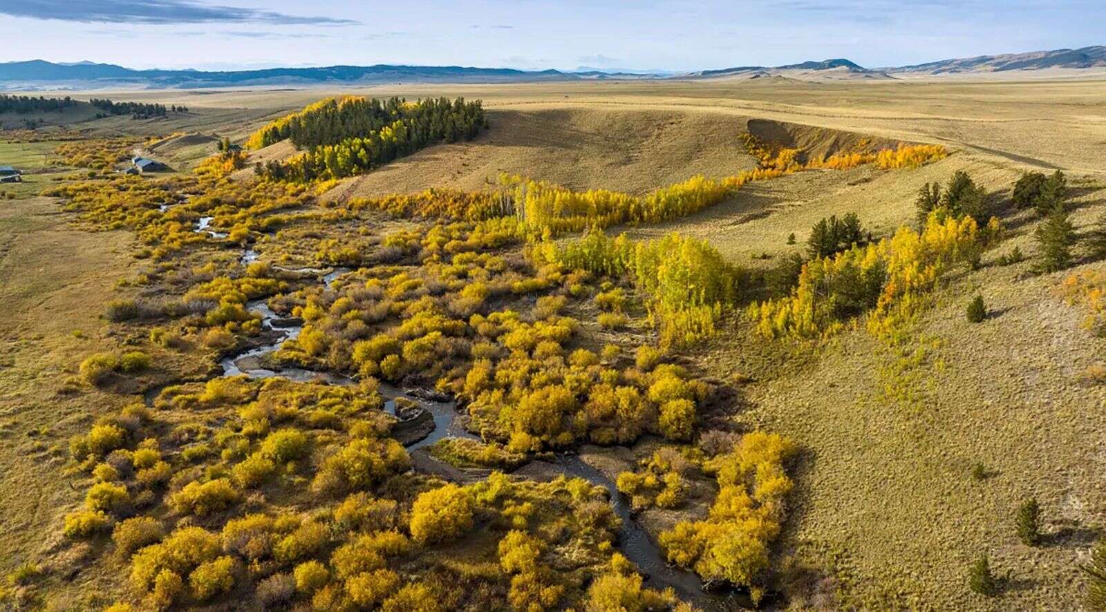 Colorado Parks & Wildlife - Free Fishing Weekend - June 1 to June