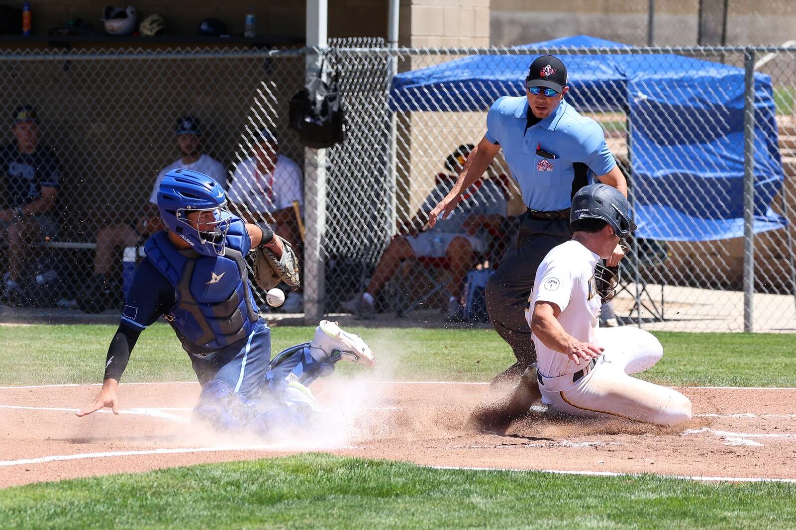 Dallas Tigers walk off as Connie Mack World Series champions – The