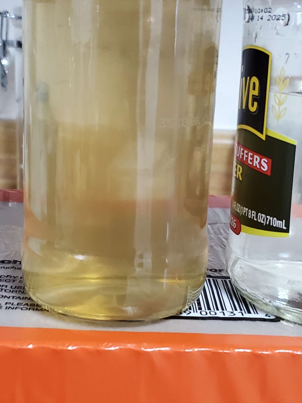 Cloudy Urine in Early Pregnancy