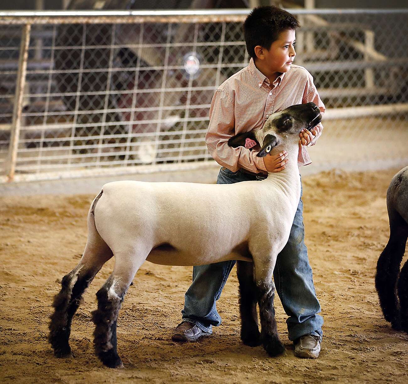 San Juan County Fair kicks off Friday The TriCity Record