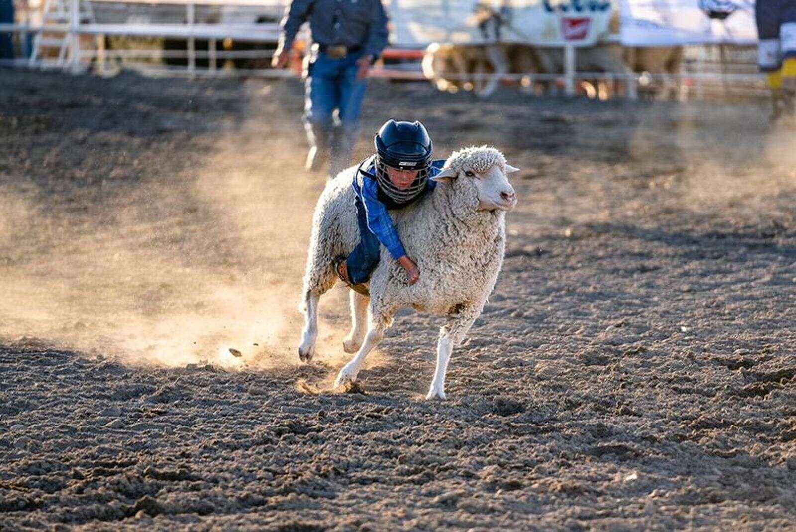 Ute Mountain Roundup Rodeo will light up Montezuma County Fairgrounds