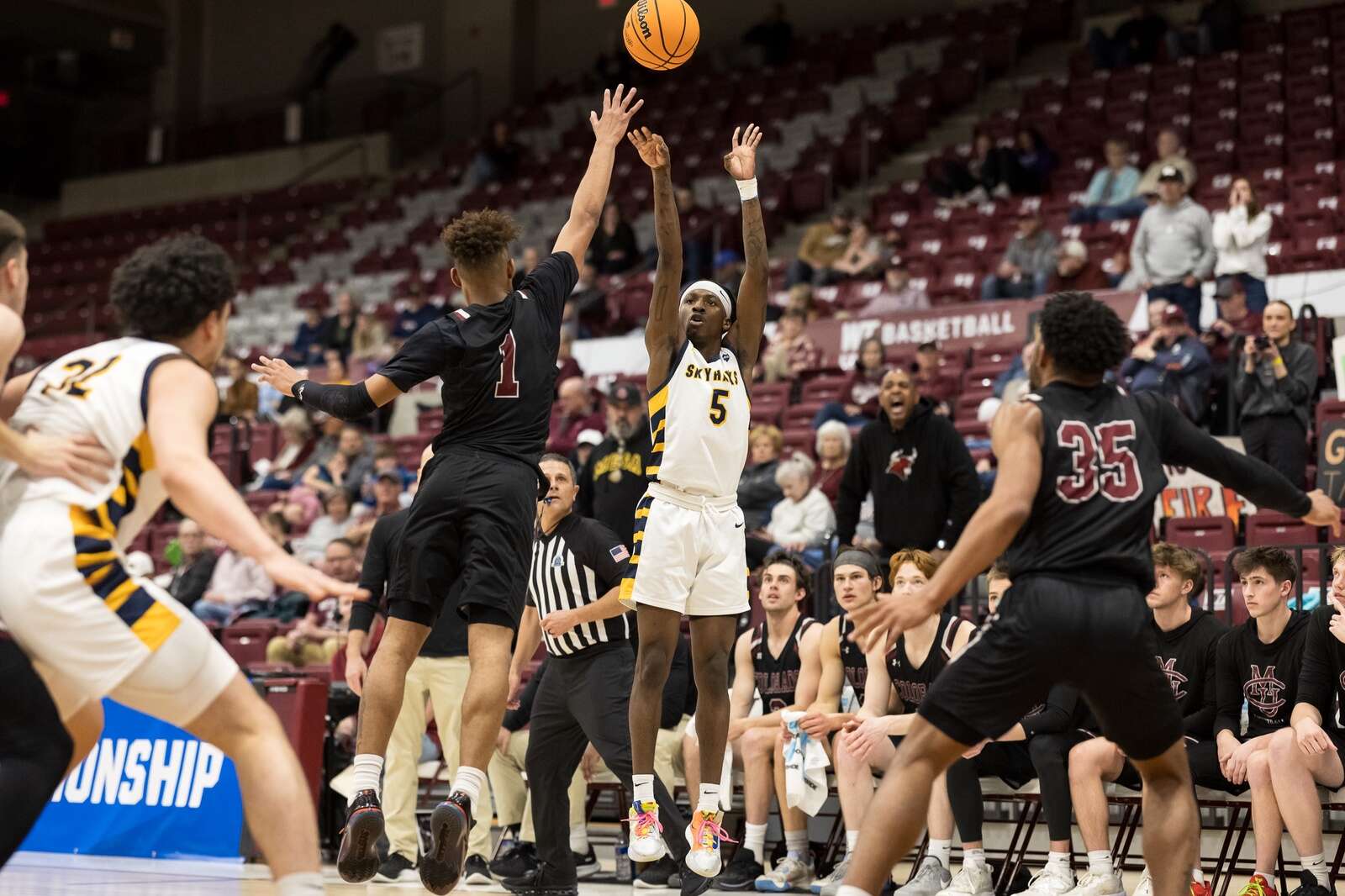 Basketball updates online