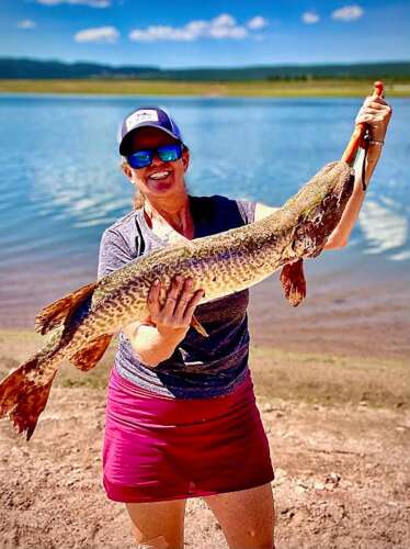 Cortez angler gets record back on tiger muskie – The Journal