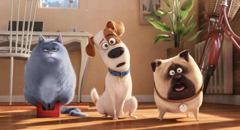 The Secret Life of Pets': Animated film's humor is, like a dog whistle,  subjective – The Durango Herald