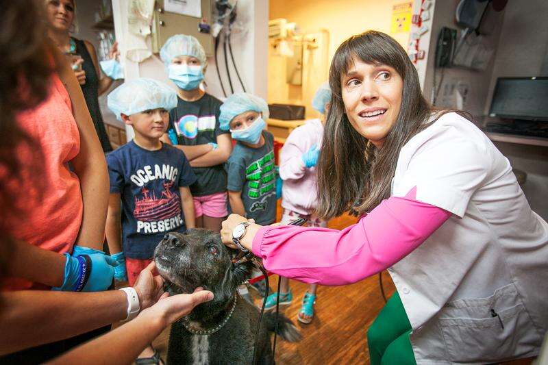 Young pups get a feel for veterinary medicine – The Durango Herald