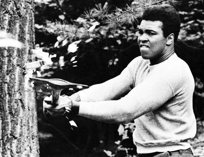 Muhammad Ali welcomed all at Pennsylvania training camp – The Durango Herald